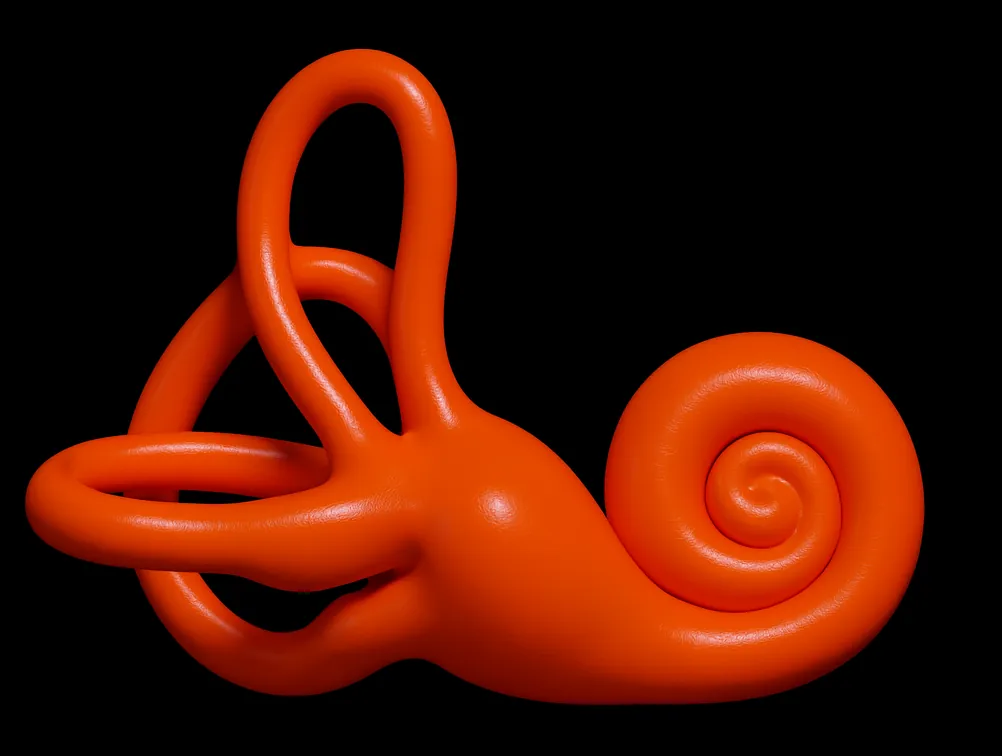 Illustration of ear with nearby blood vessels